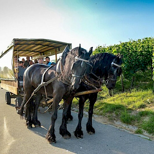 mit freundlicher Genehmigung der SZ