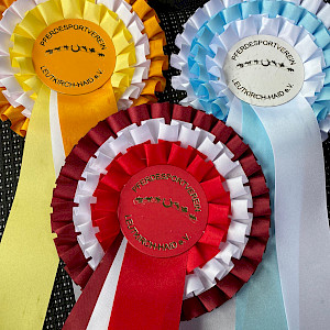 Ailinger Reiterinnen erfolgreich im Schneesturm