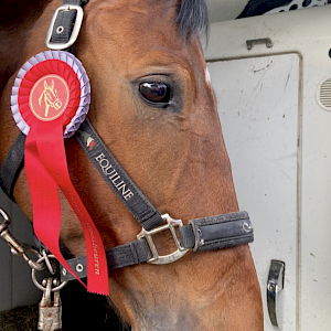 Mit Schleifen und Erfolgen in die neue Turniersaison