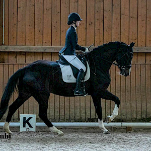 Ein toller Nachtrag vom Dressurturnier in Fronhofen