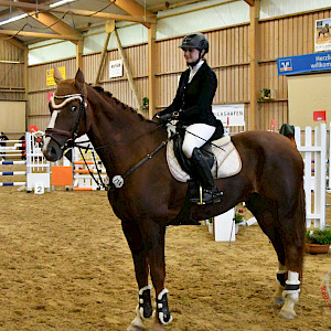 Erfolge - SuccessStories: Unser Turnier in Ailingen - Samstag, LPO, 04_Stilspringprüfung Kl. A*