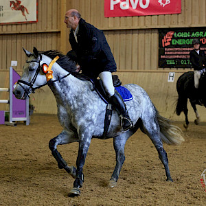 Erfolge - SuccessStories: Unser Turnier in Ailingen - Samstag, LPO, 06_Springprüfung Kl. L