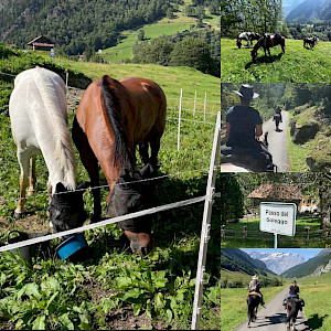 The News: Wanderreiten Alpenüberquerung - Tag 3 mit Caro & Wolfgang