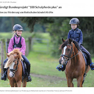 Schulpferde - Initiative angekündigt von der FN...: Bundesprojekt „100 Schulpferde plus“