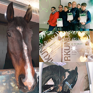 PSKO & Sparte Voltigieren: Britzelwetter mit Longiercracks und Abzeichenerfolg in Eberhardzell