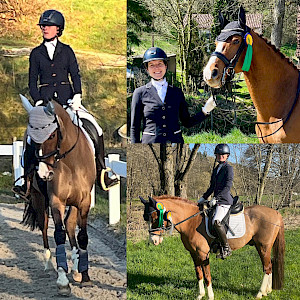 Frühlingshafte Powerdancer im Hauerz-Dressurviereck