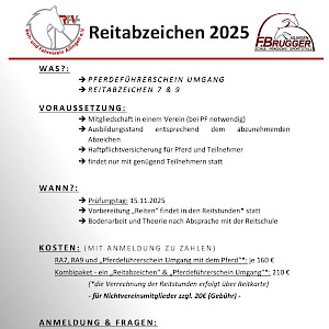 RFVA & Reitschule Brugger: Reitabzeichen & Pferdeführerschein im November – Jetzt anmelden!