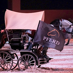 ✨ Gemeinsamer Vereinsausflug auf die "Pferd Bodensee 2026" - Gala-Abend am 28. Februar! - final gebucht ✨