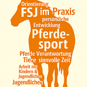 Ein Jahr, das Türen öffnet – Dein FSJ im Pferdesport ✨