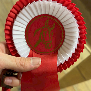 ✨Turniersaison-Eröffnung im Springen: Julia & Bijou fliegen in die Platzierungen!