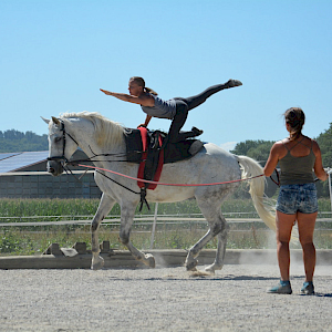 Training in Ahausen mit Dusty und Angelika Welte an der Longe